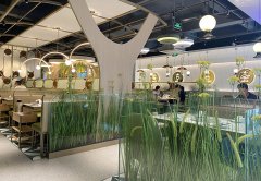 餐廳生意不好應(yīng)該怎么辦，餐飲老兵的8條建議：其中有幾條餐飲人都踩過！